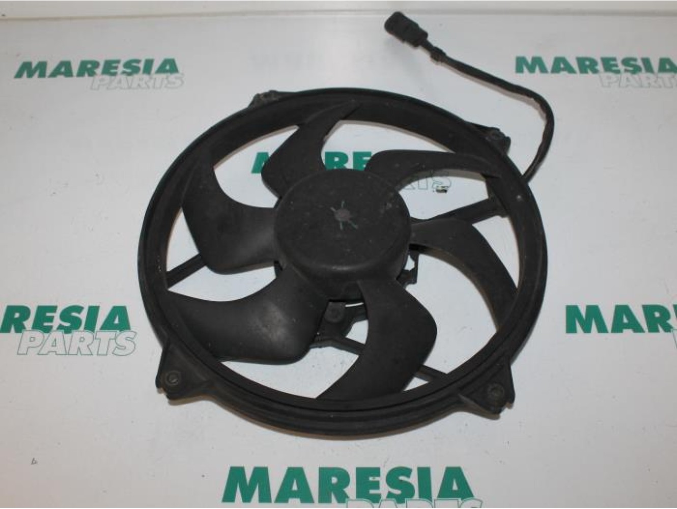 Citroen - C5 - Kühlgebläse Motor