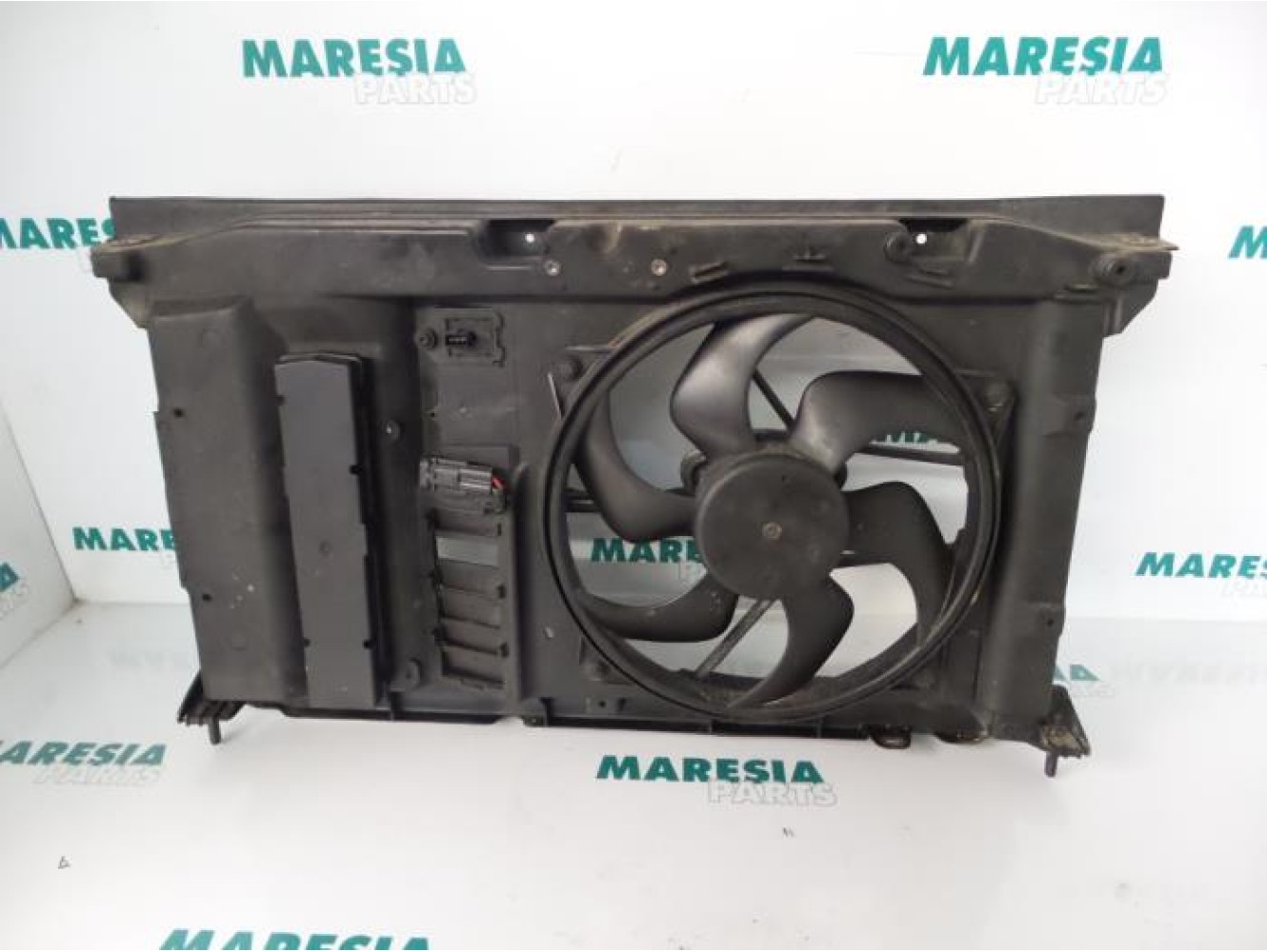 Peugeot - 307 - Fan motor