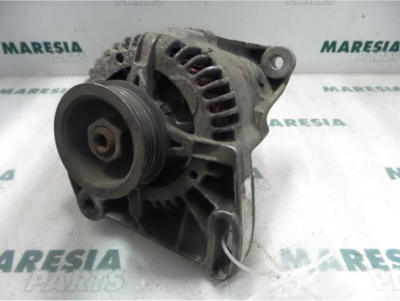 Fiat - Punto - Dynamo