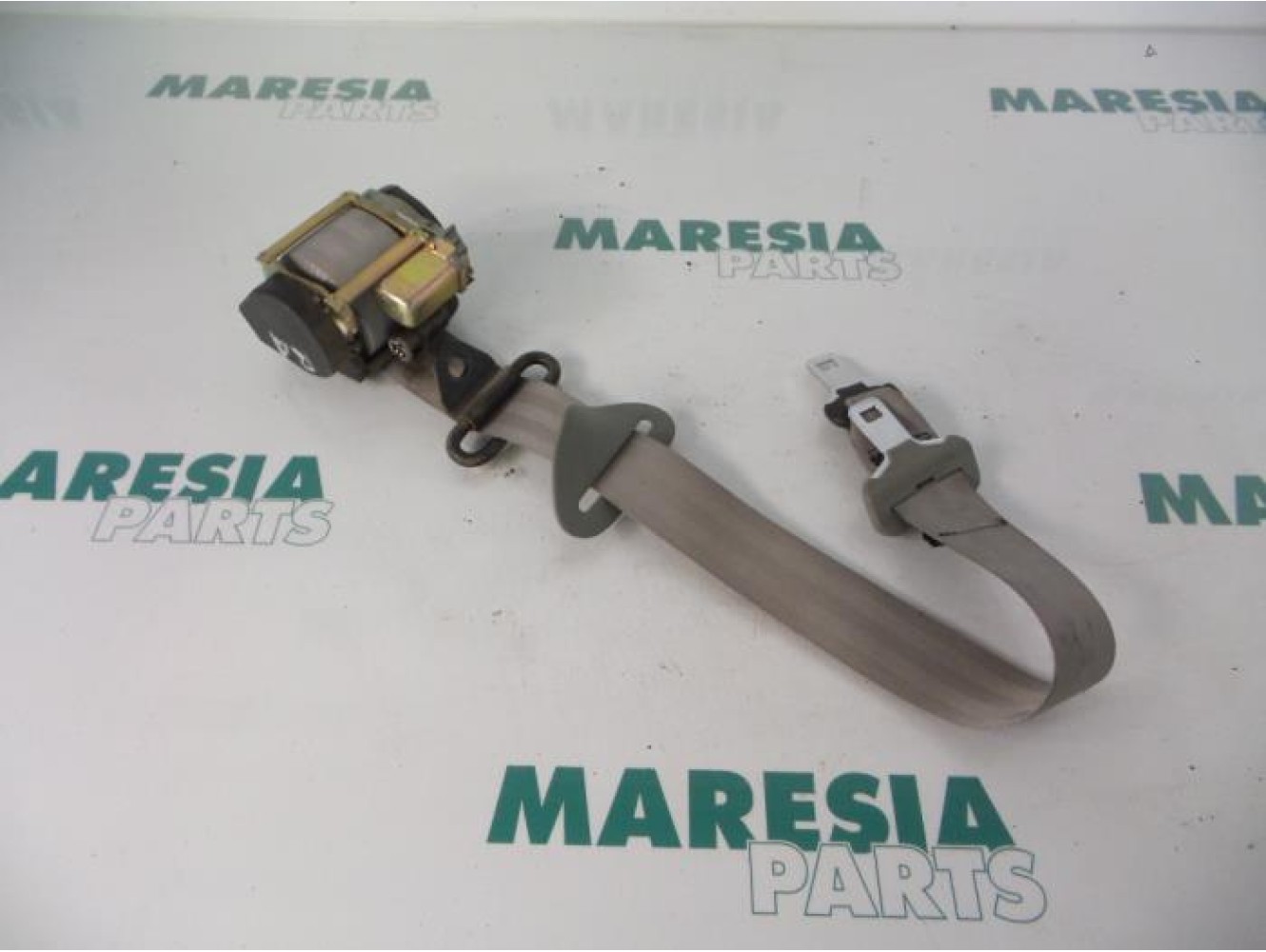 Renault - Megane Scenic - Rear seatbelt, right