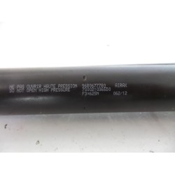 Citroen - Berlingo - Set of tailgate gas struts