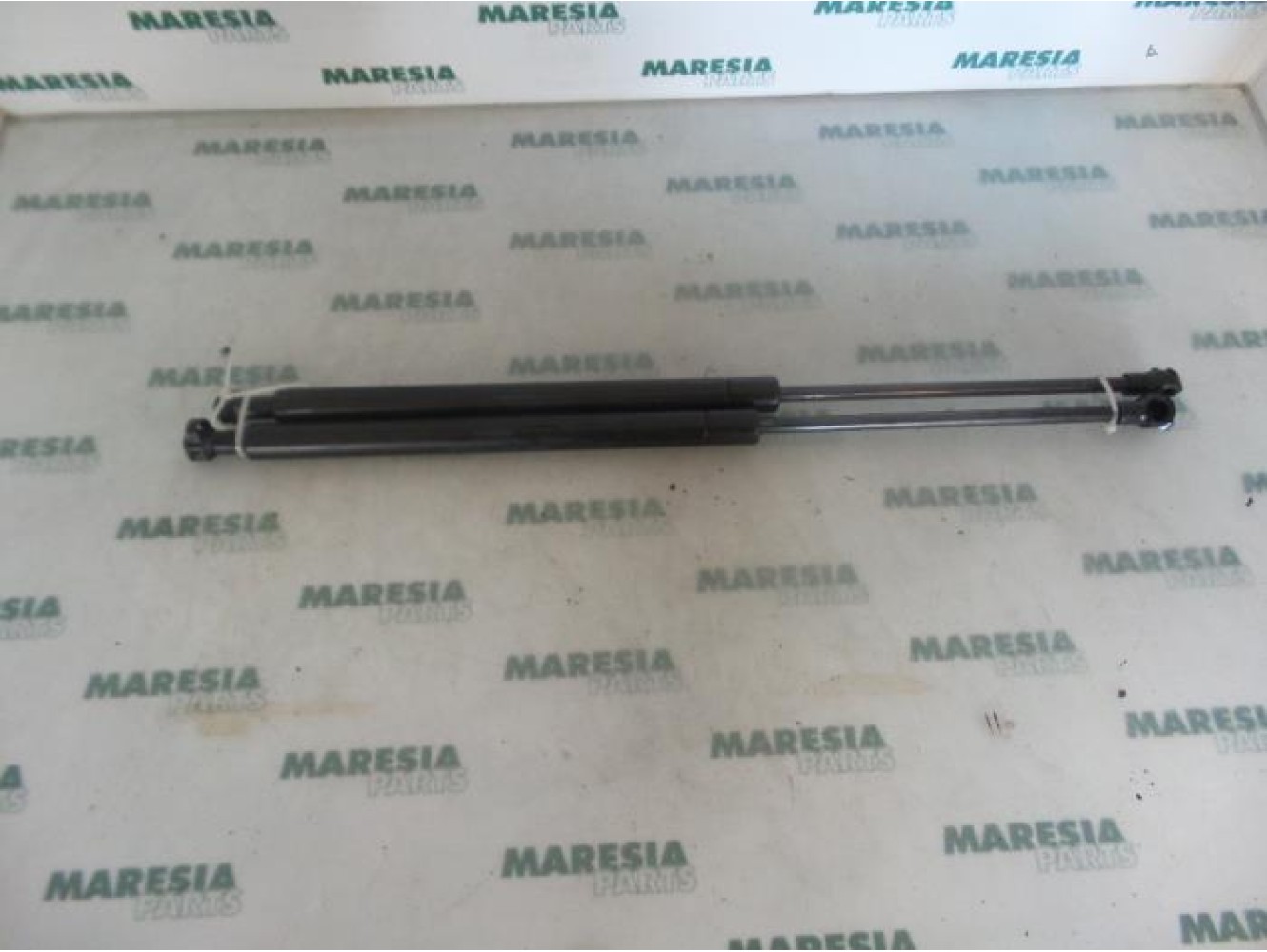 Renault - Megane Scenic - Set of tailgate gas struts