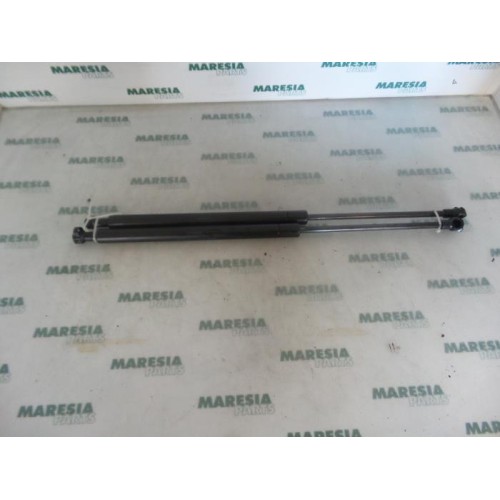 Renault - Megane Scenic - Set of tailgate gas struts