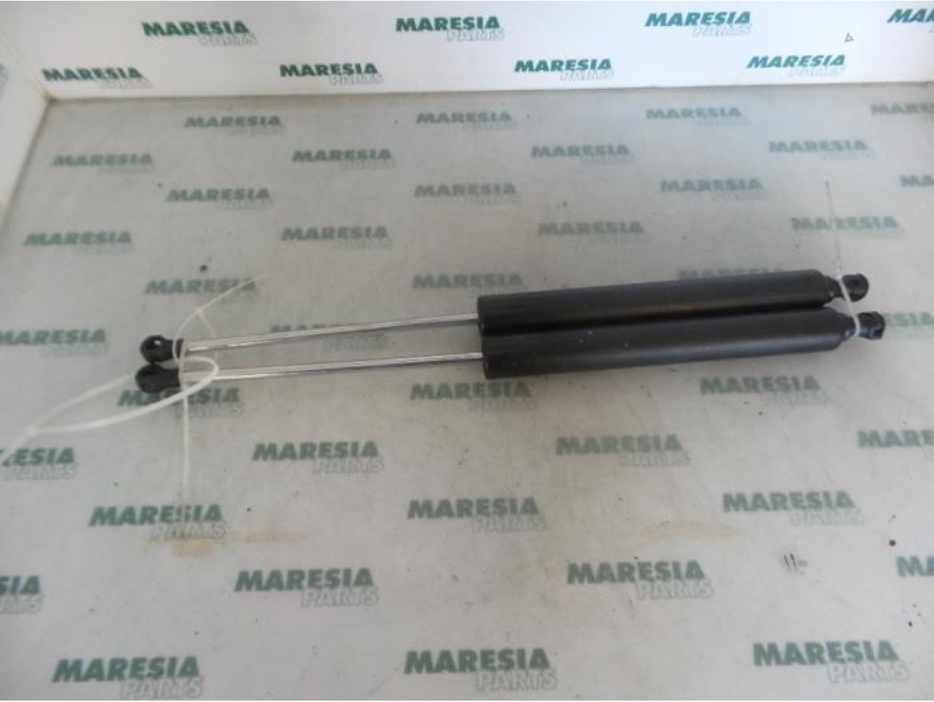 Renault - Vel Satis - Set of tailgate gas struts