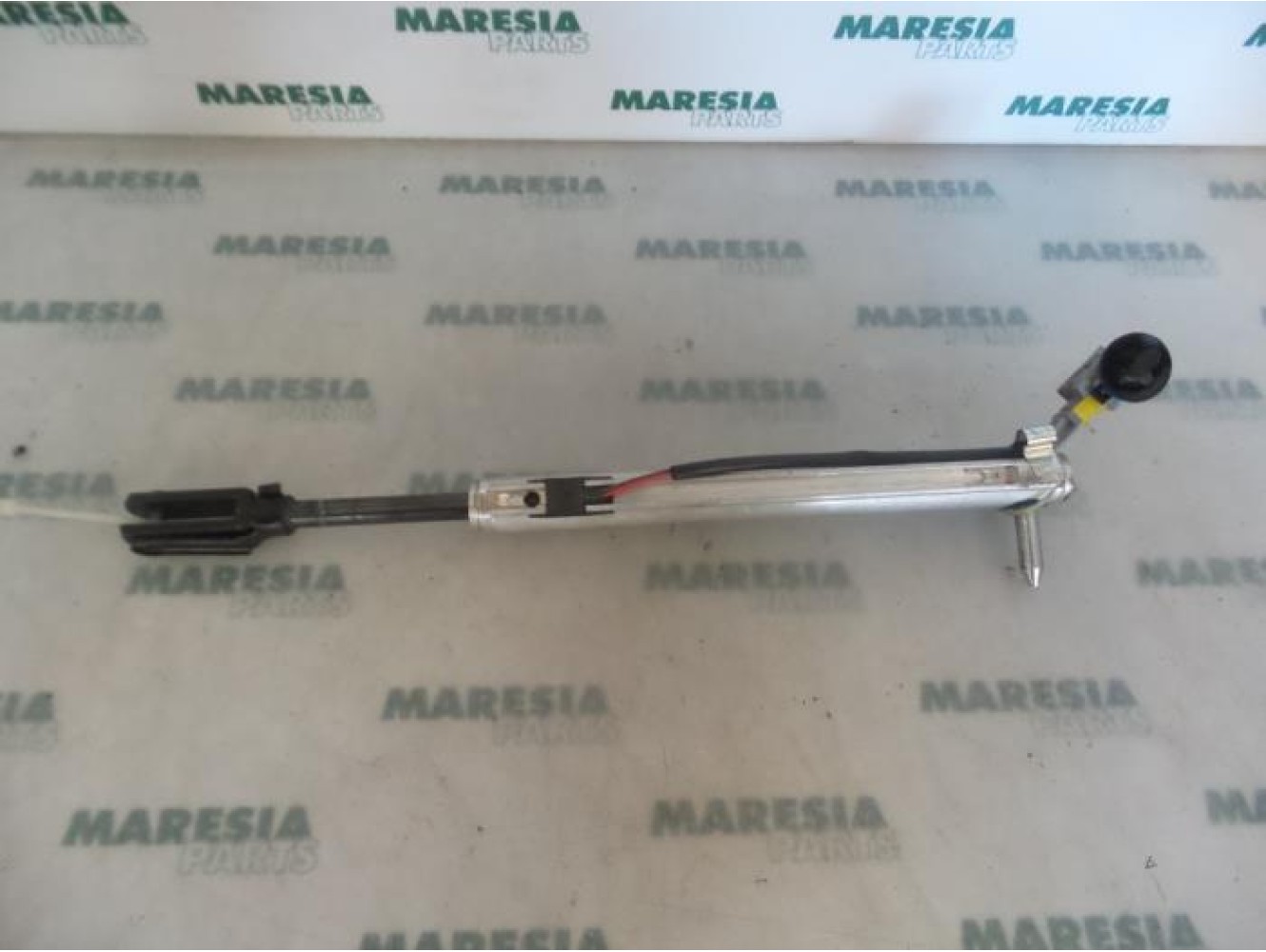 Renault - Megane - Set of tailgate gas struts