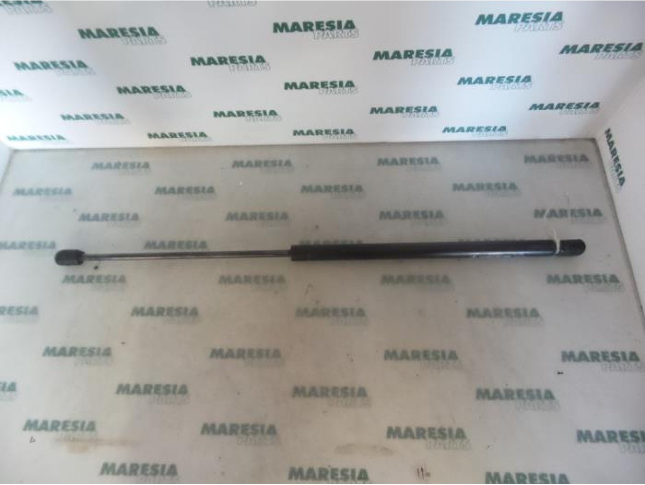 Fiat - Seicento - Set of tailgate gas struts