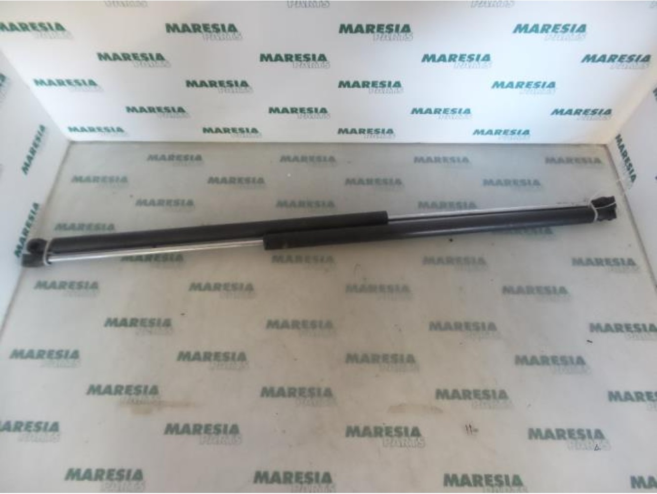 Citroen - Berlingo - Set of tailgate gas struts