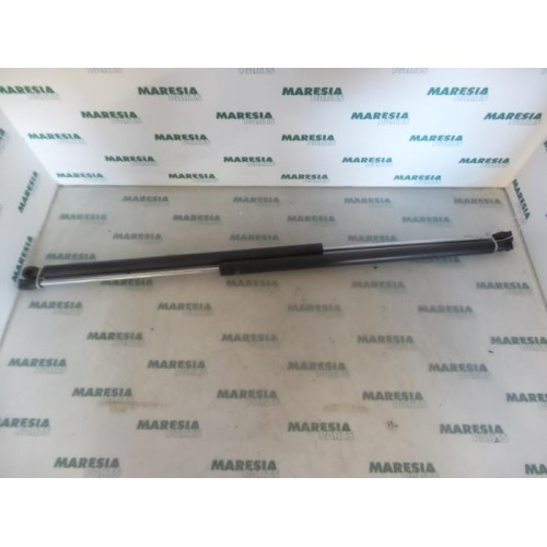 Citroen - Berlingo - Set of tailgate gas struts