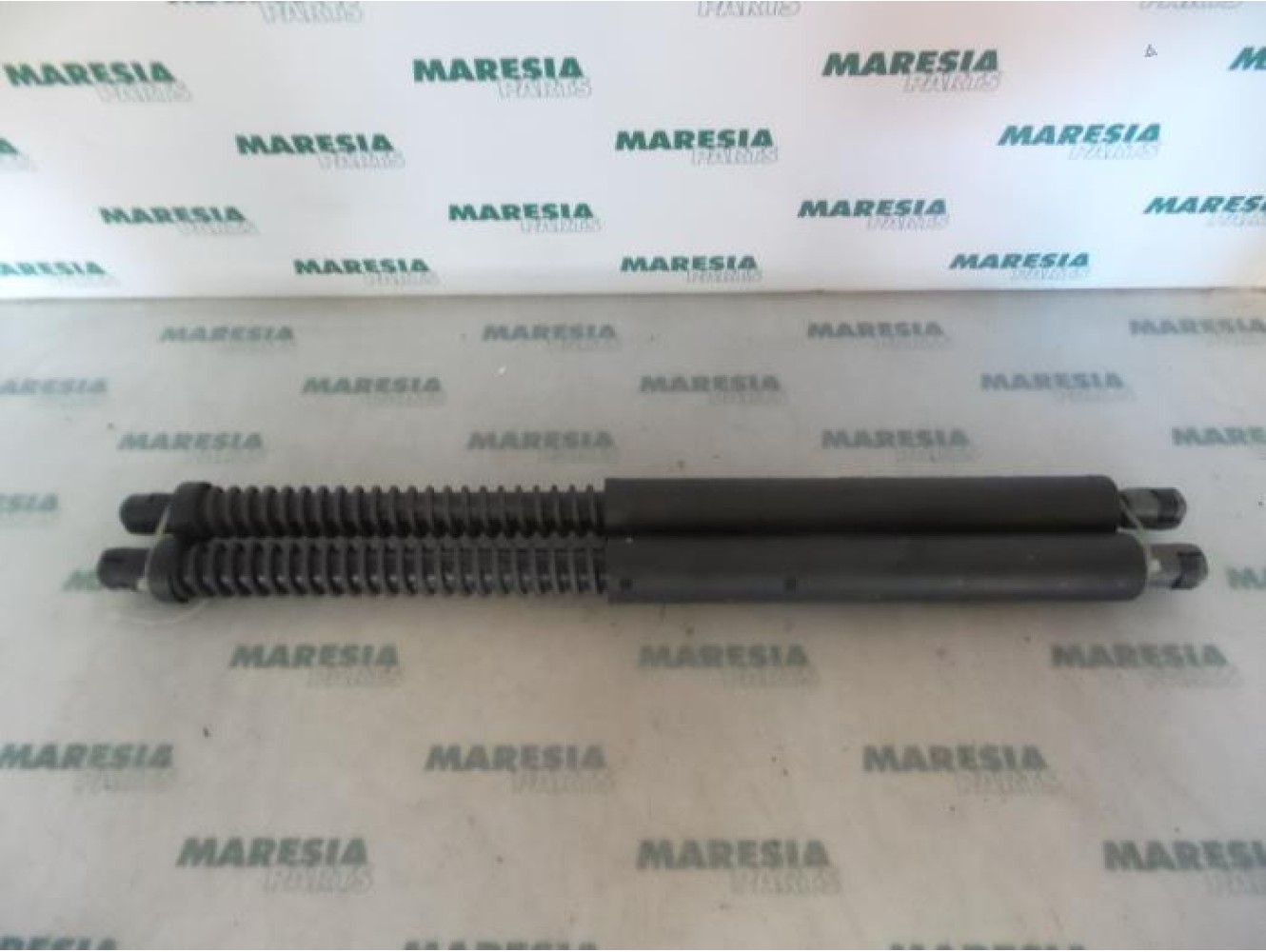 Lancia - Thesis - Set of tailgate gas struts