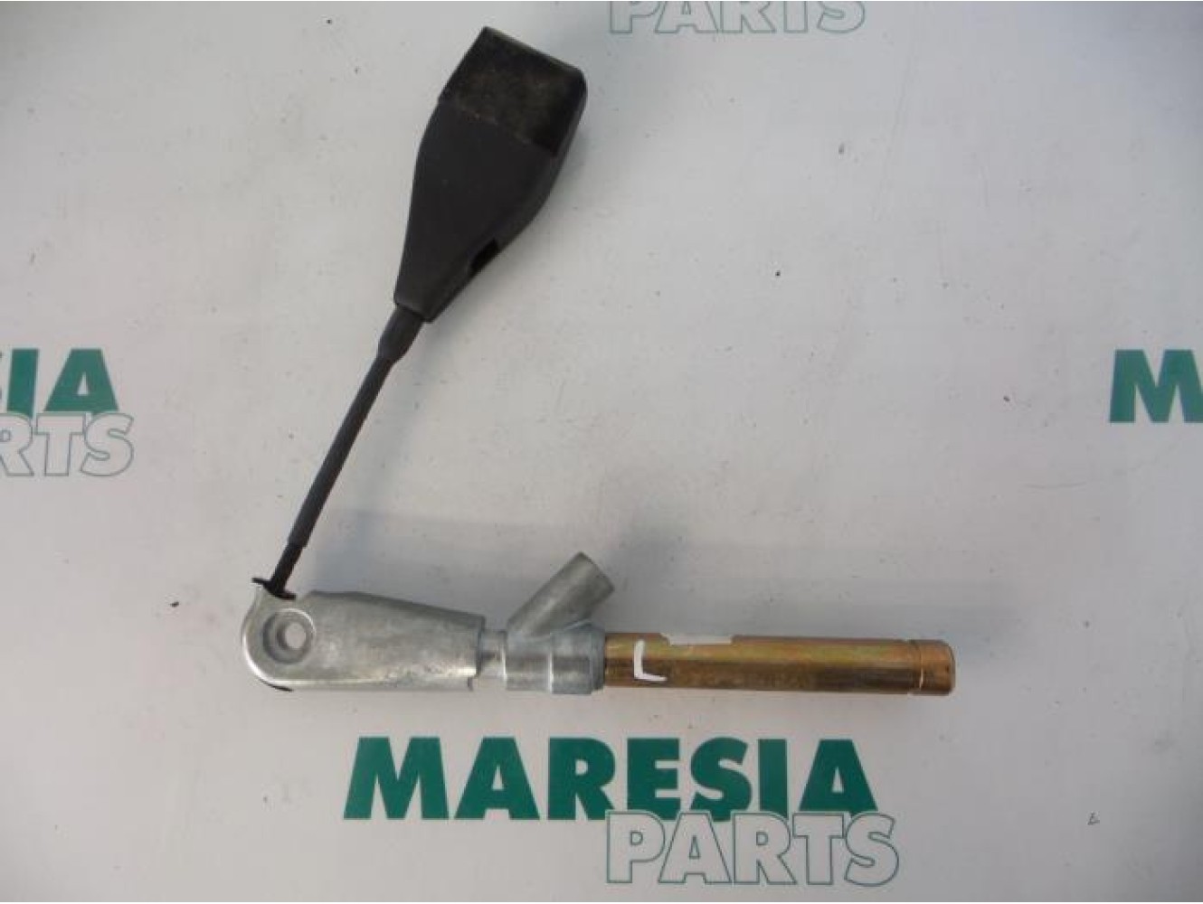Renault - Megane Scenic - Gurtsrammer links