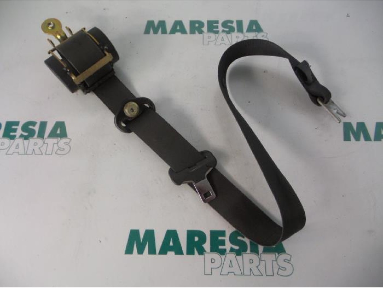 Renault - Megane Scenic - Ceinture de sécurité avant gauche