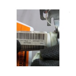 Peugeot - 207 - Airbag Himmel rechts