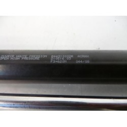 Renault - Laguna - Set Gasdämpfer Heckklappe