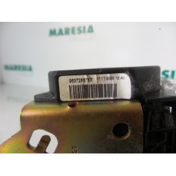 Citroen - Xsara - Sicherheitsgurt links vorne