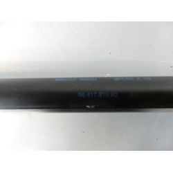 Citroen - C2 - Set of tailgate gas struts
