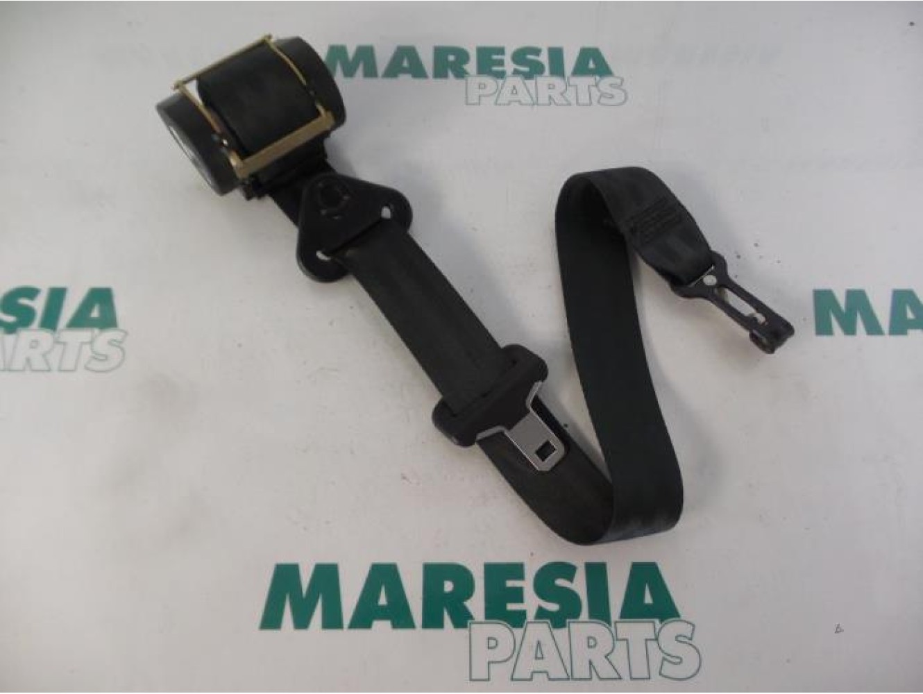 Citroen - C8 - Sicherheitsgurt links hinten