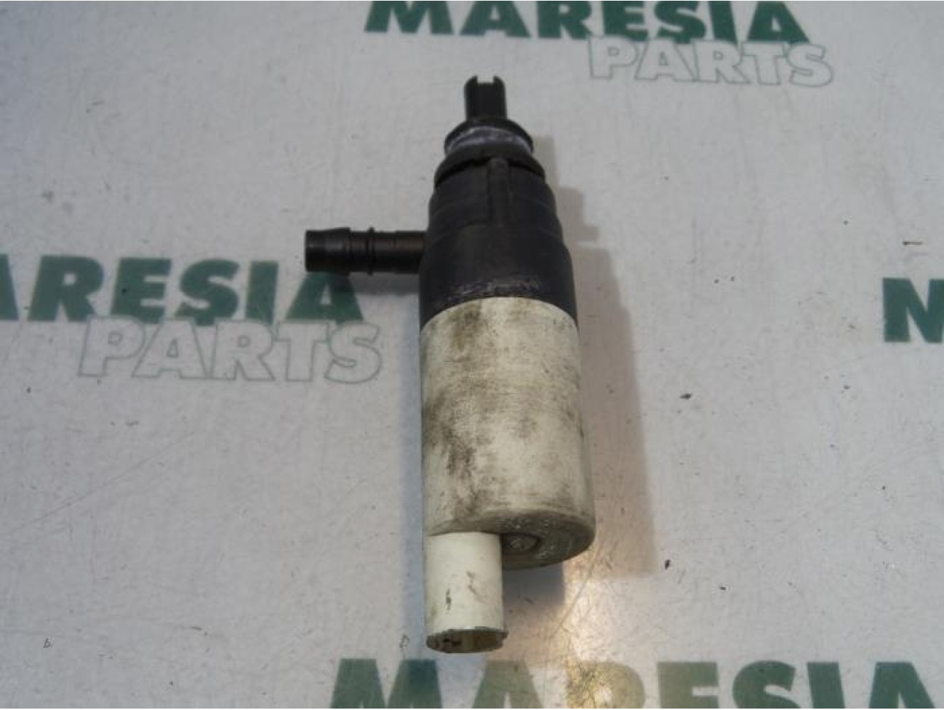 Renault - Laguna - Scheibensprüherpumpe vorne
