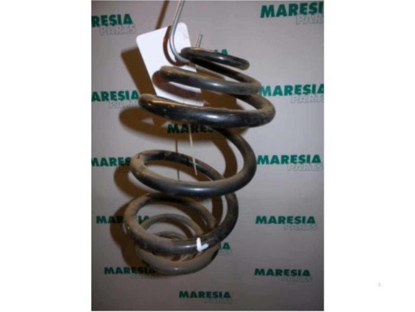 Renault - Trafic - Rear coil spring