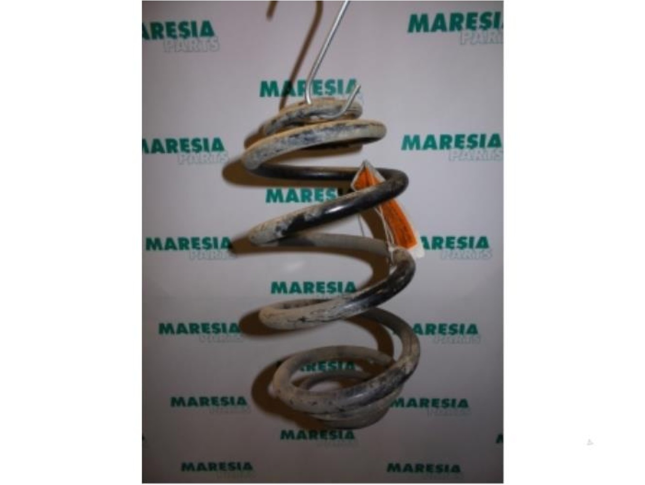 Renault - Trafic - Rear coil spring