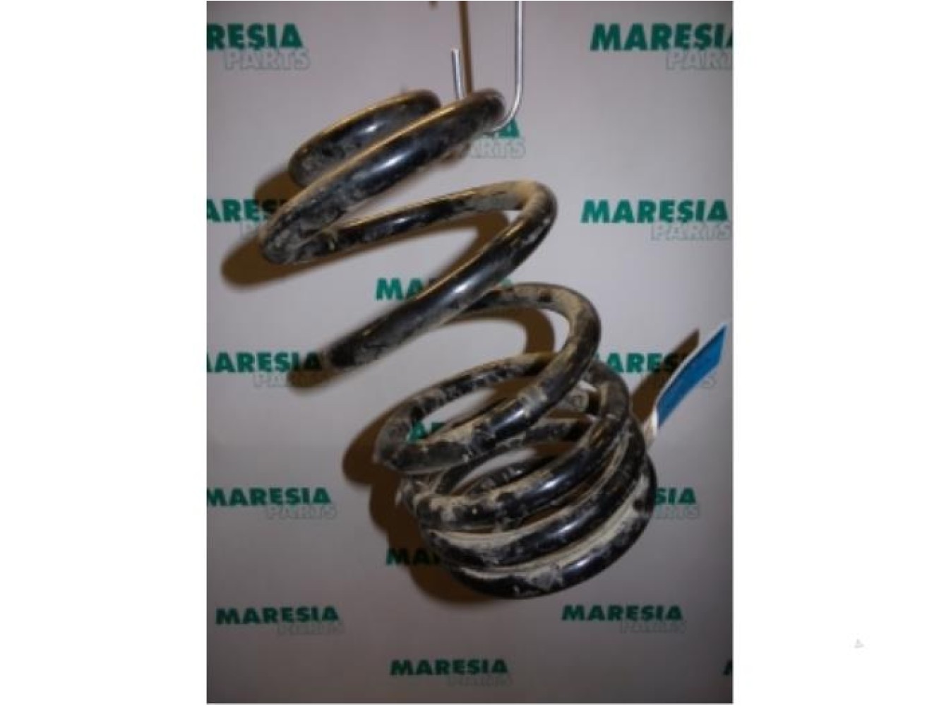 Renault - Trafic - Rear coil spring