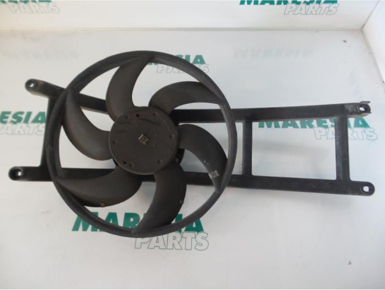 Fiat - Panda - Kühlgebläse Motor
