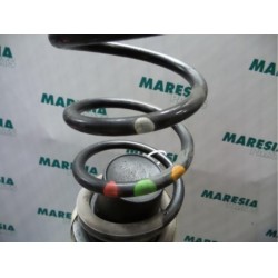 Citroen - Berlingo - Rear coil spring