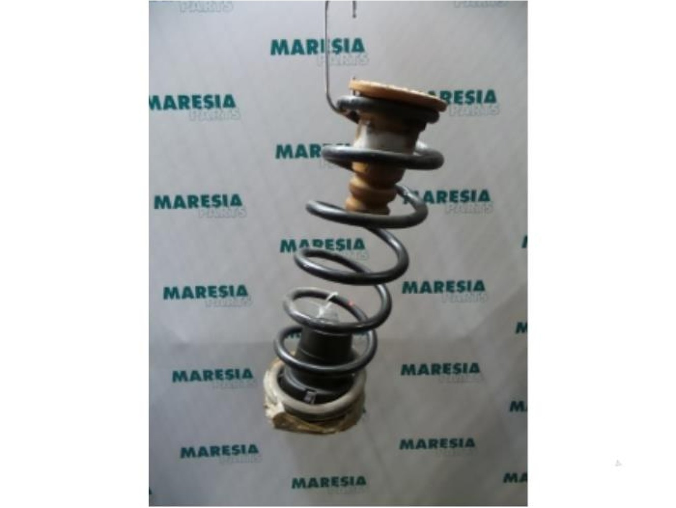 Citroen - Berlingo - Rear coil spring
