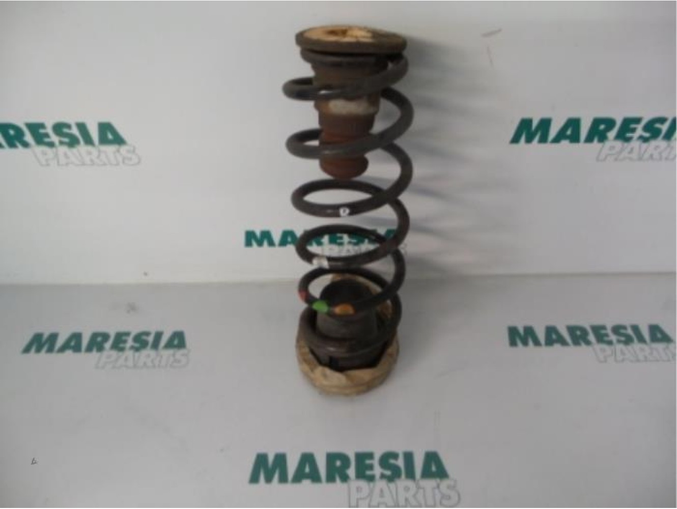 Citroen - Berlingo - Rear coil spring