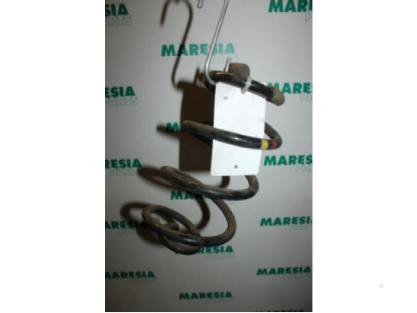 Renault - Clio - Rear coil spring