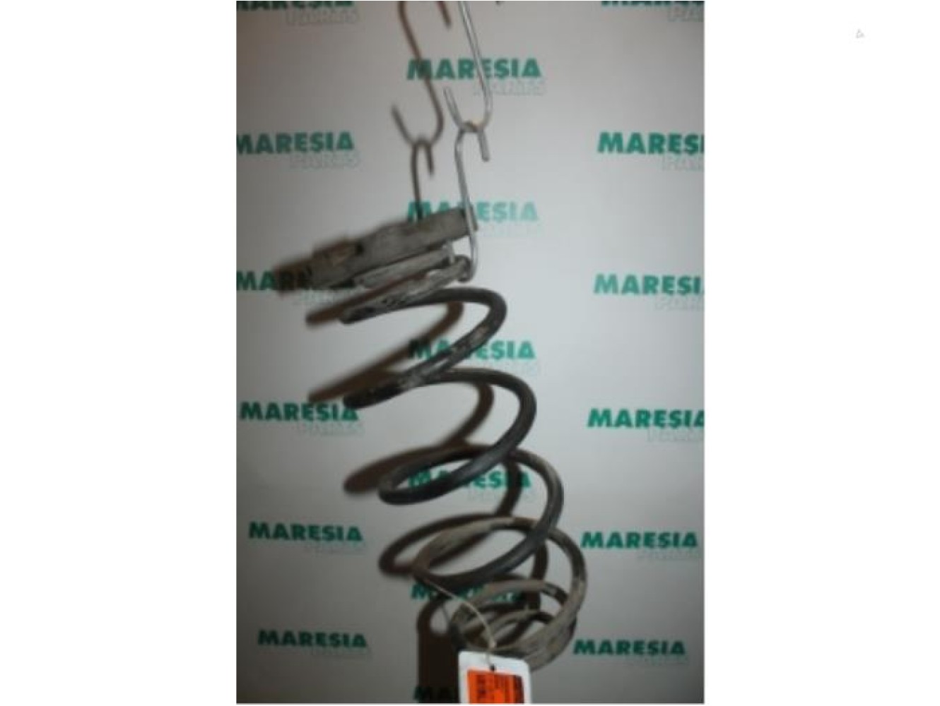 Renault - Espace - Rear coil spring