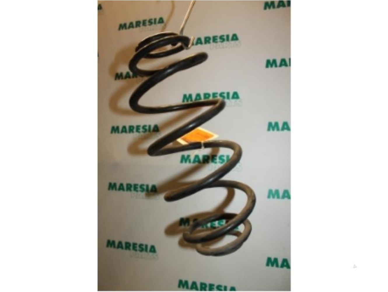 Renault - Espace - Rear coil spring