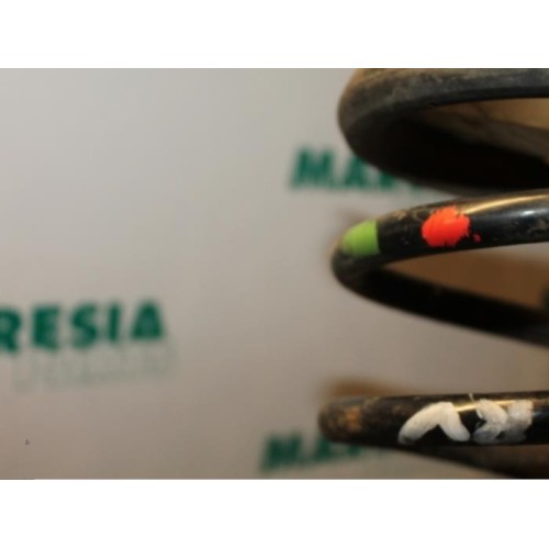 Renault - Megane Scenic - Rear coil spring