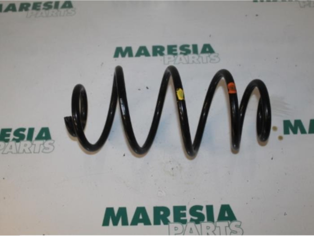 Fiat - Doblo - Rear coil spring