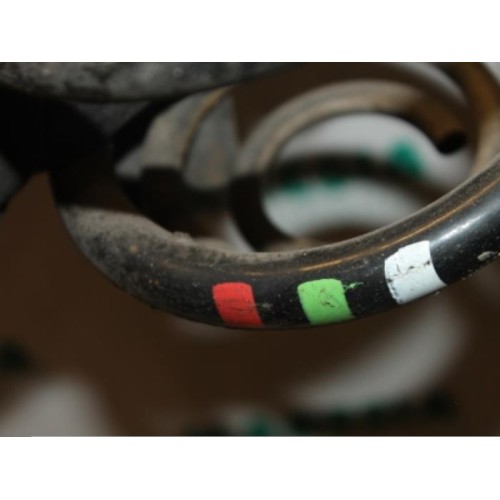 Renault - Trafic - Schroefveer achter