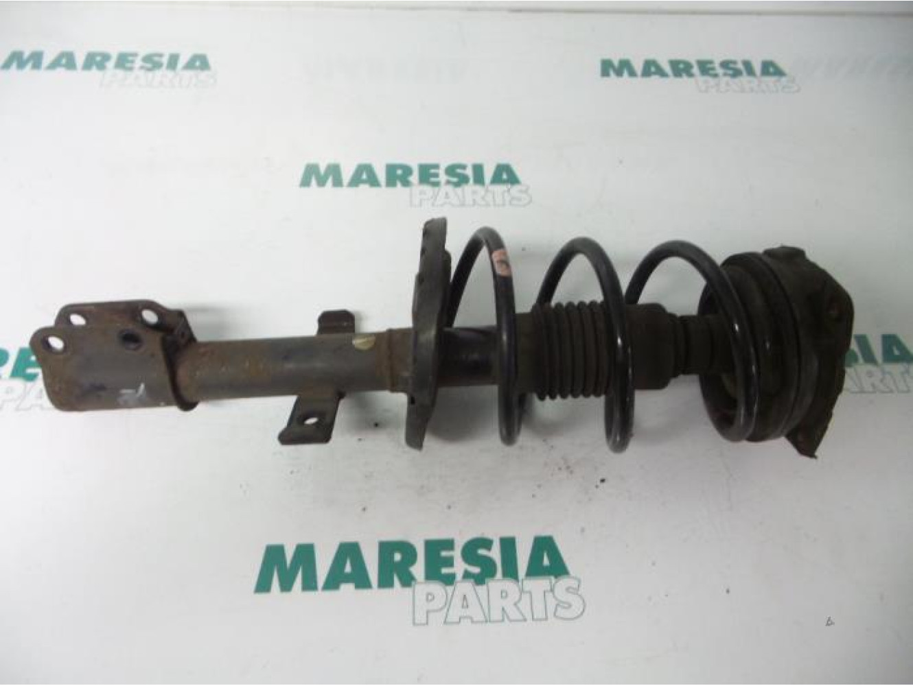 Renault - Clio - Front shock absorber rod, right