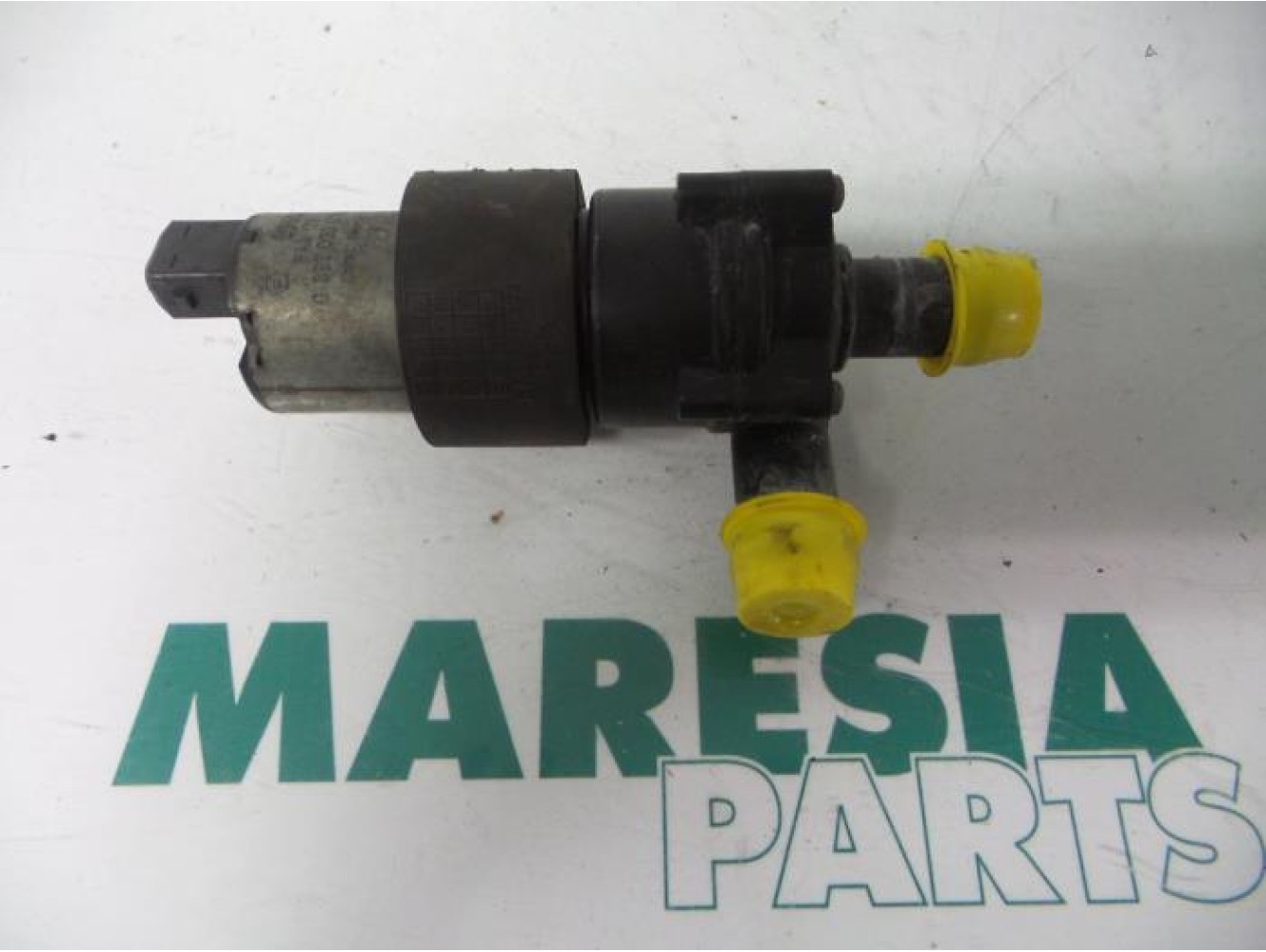 Renault - Megane - Pompe à eau