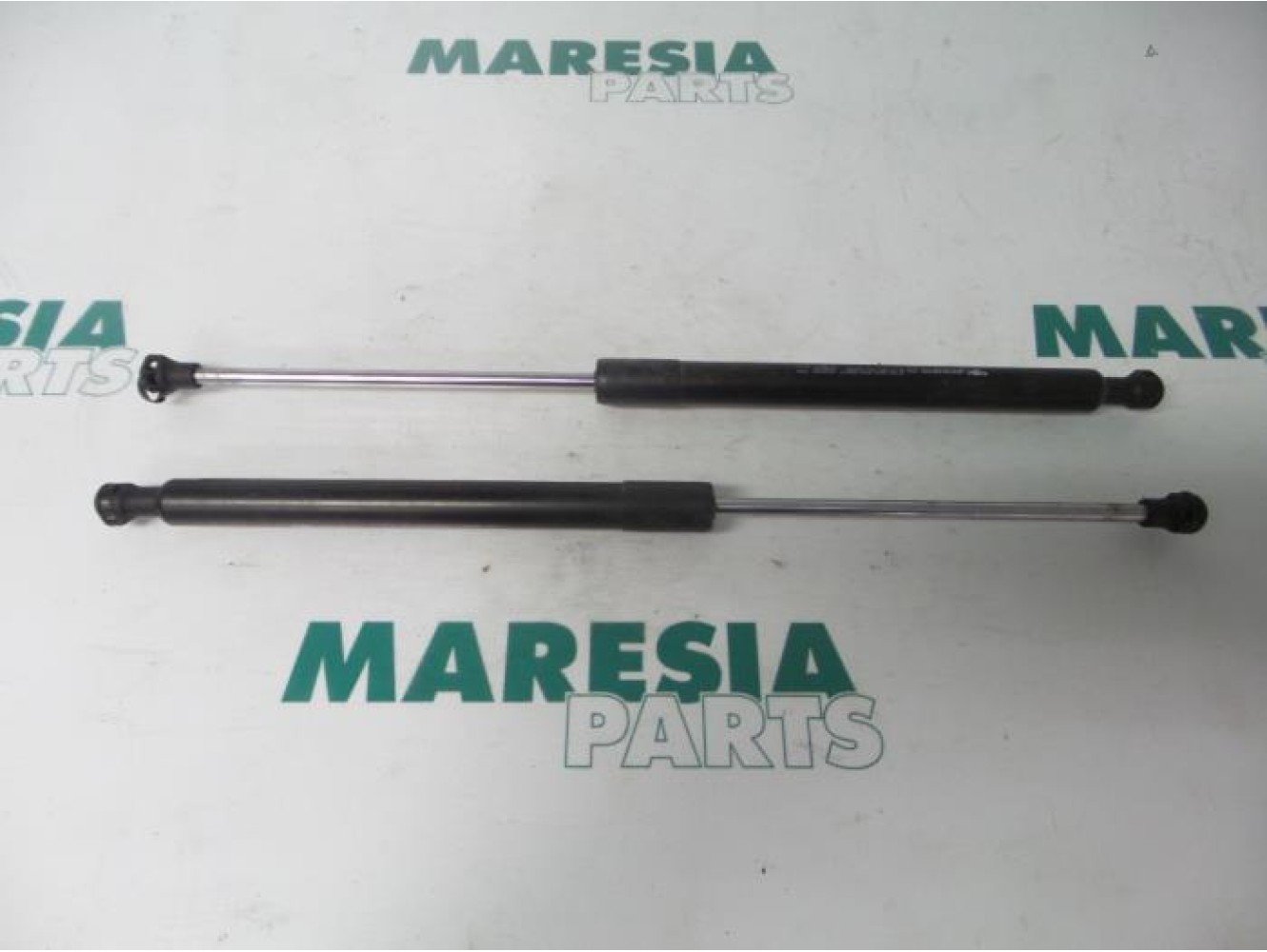 Renault - Clio - Set of tailgate gas struts