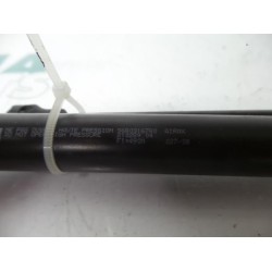 Peugeot - 207 - Set of tailgate gas struts