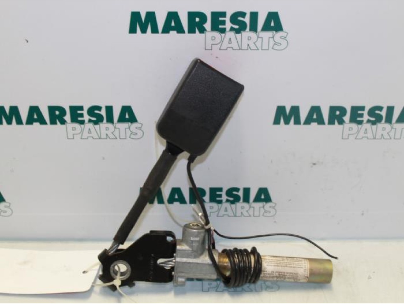 Renault - Megane Scenic - Gurtsrammer links