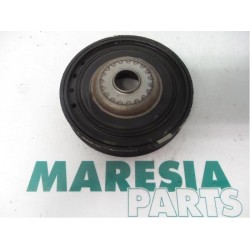Renault - Megane Scenic - Krukas Poelie