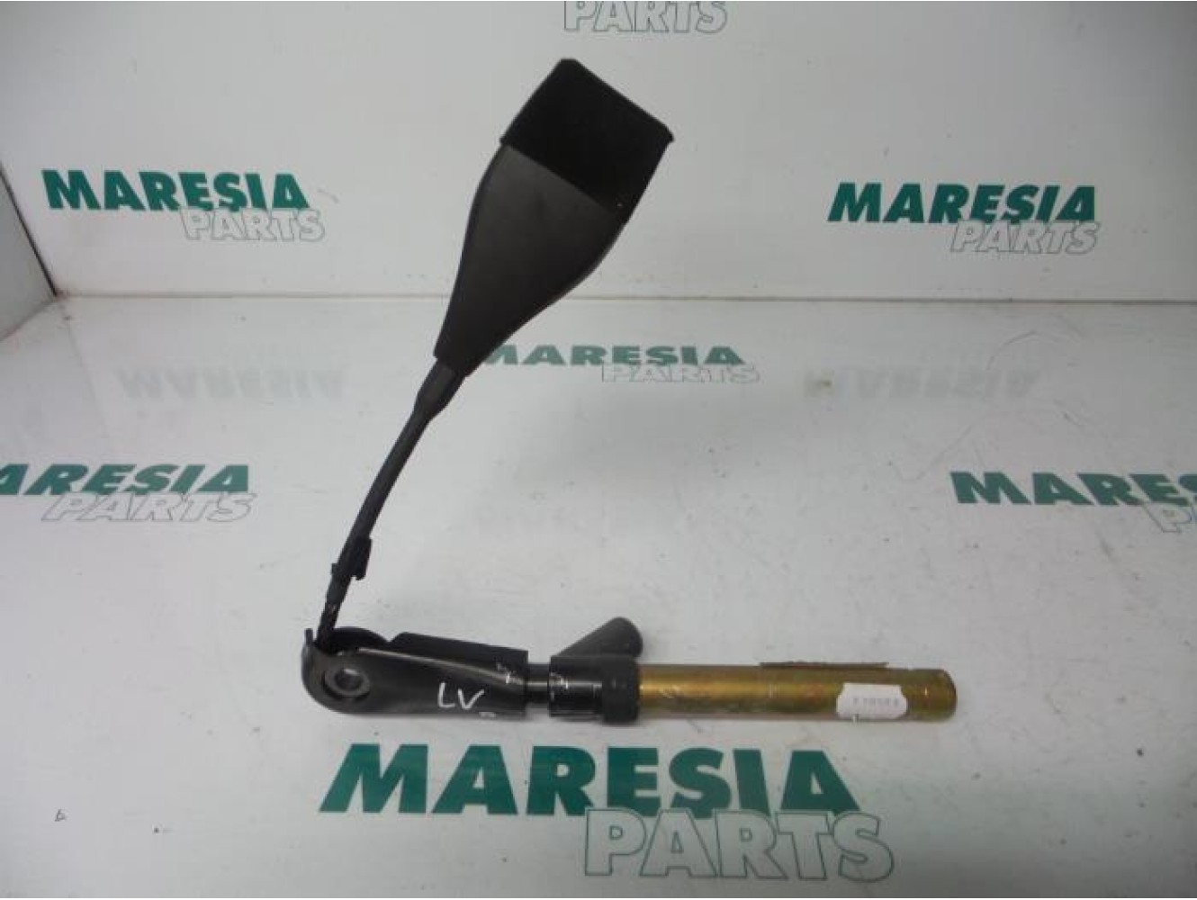 Renault - Laguna - Gordelspanner links