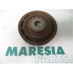 Renault - Megane Scenic - Krukas Poelie