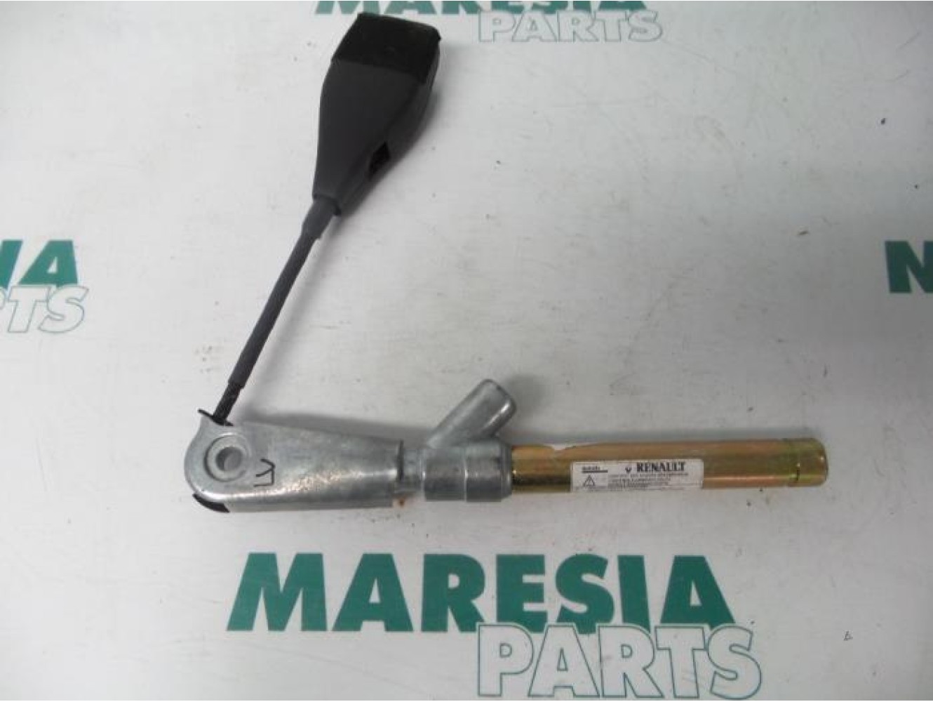 Renault - Megane Scenic - Gurtsrammer links