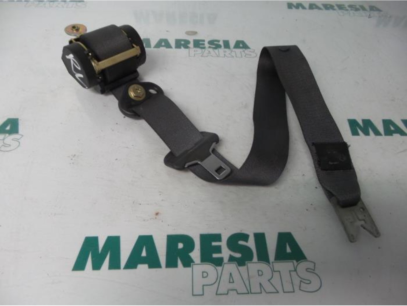 Renault - Megane Scenic - Front seatbelt, right