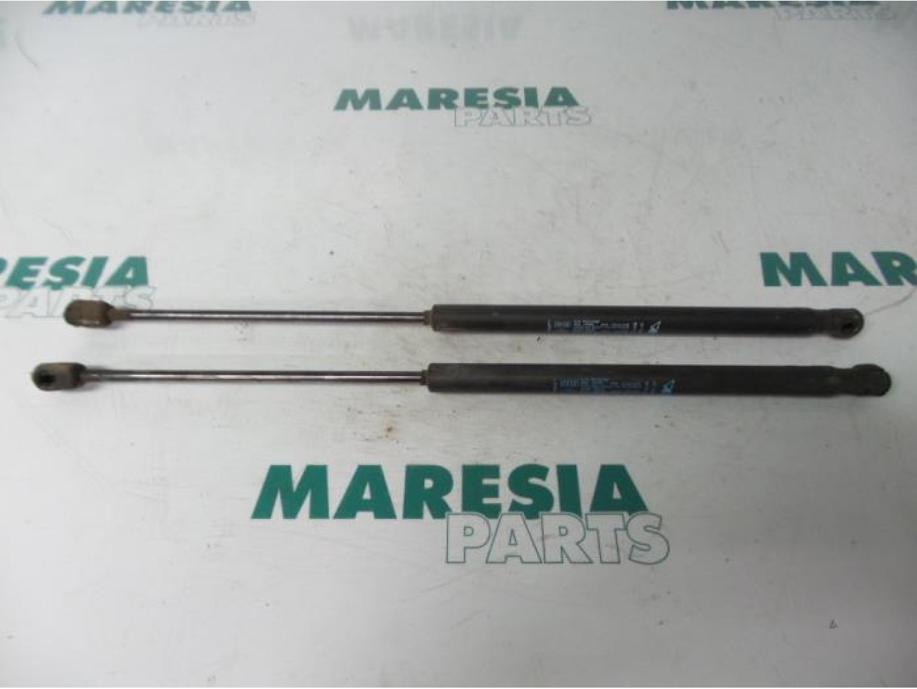 Fiat - Stilo - Set of tailgate gas struts