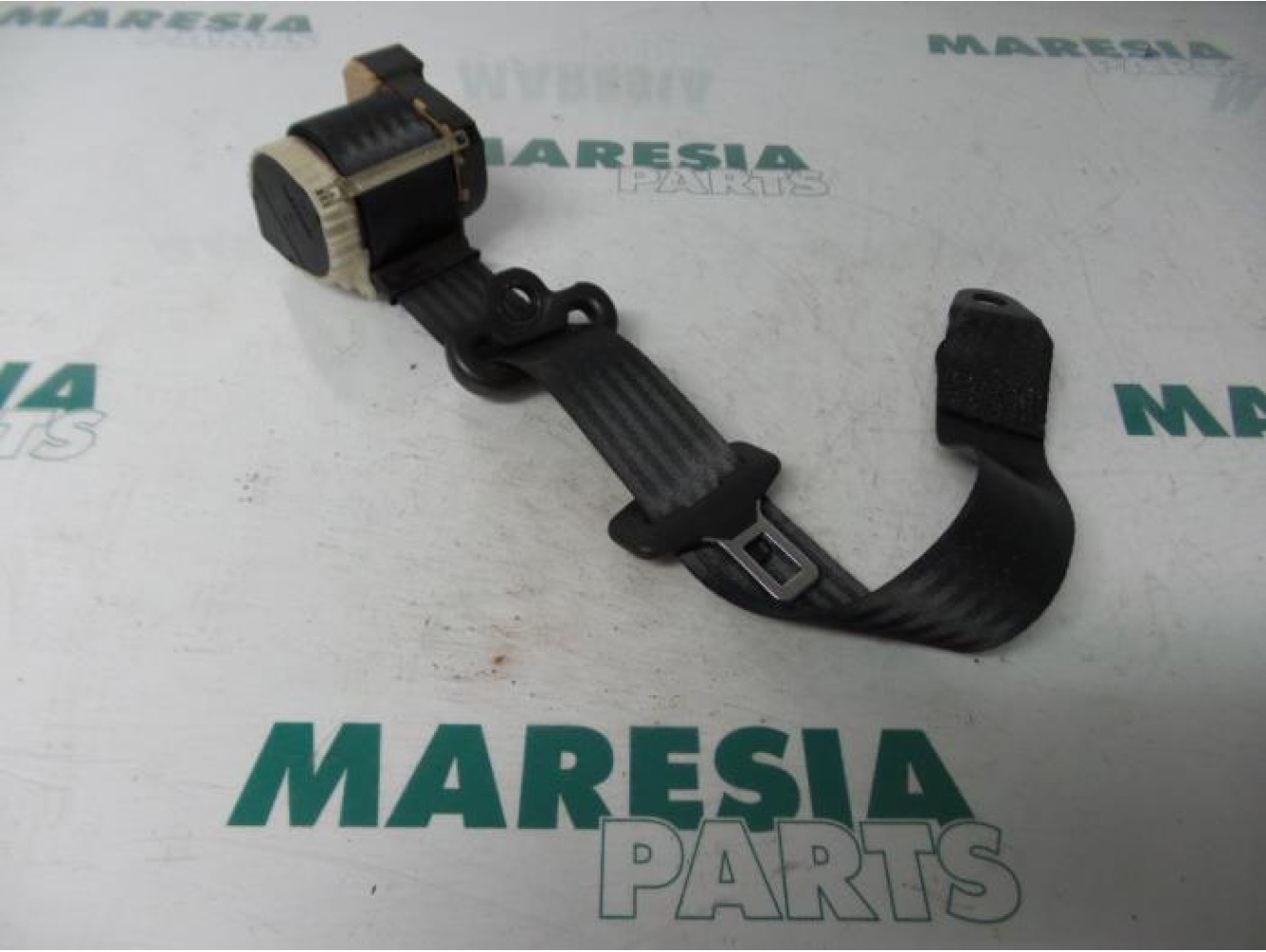 Fiat - Stilo - Sicherheitsgurt links hinten