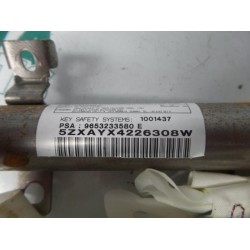 Peugeot - 307 - Airbag Himmel links