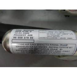 Peugeot - 1007 - Airbag plafond droite