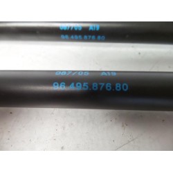 Peugeot - 1007 - Set of tailgate gas struts