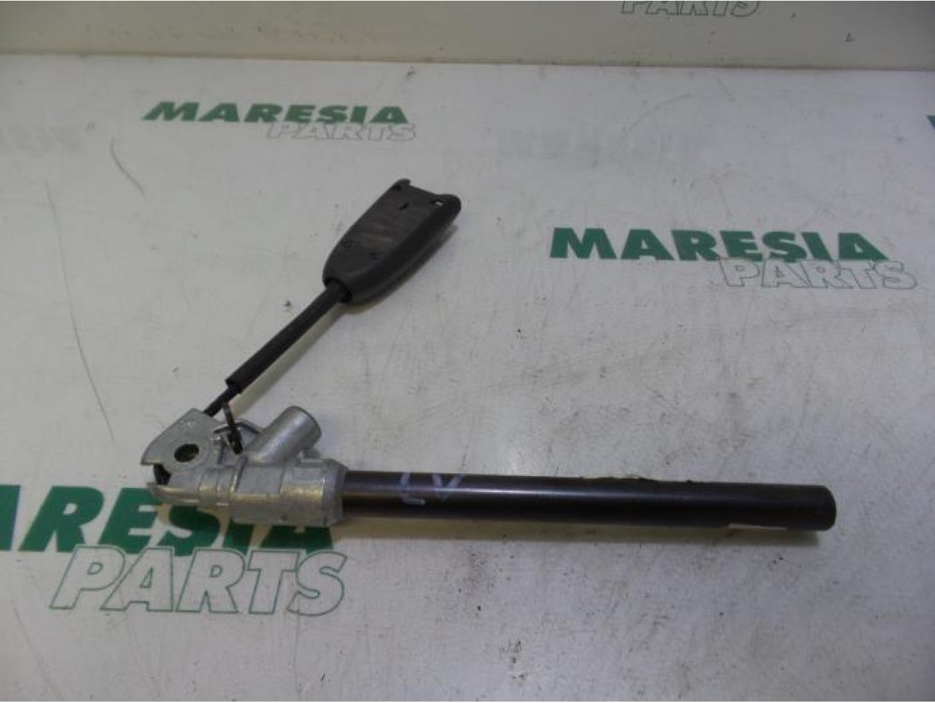 Renault - Megane Scenic - Gurtsrammer links